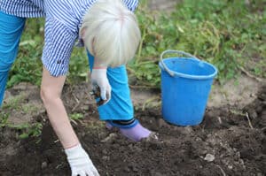 Older woman bent over working in the community garden